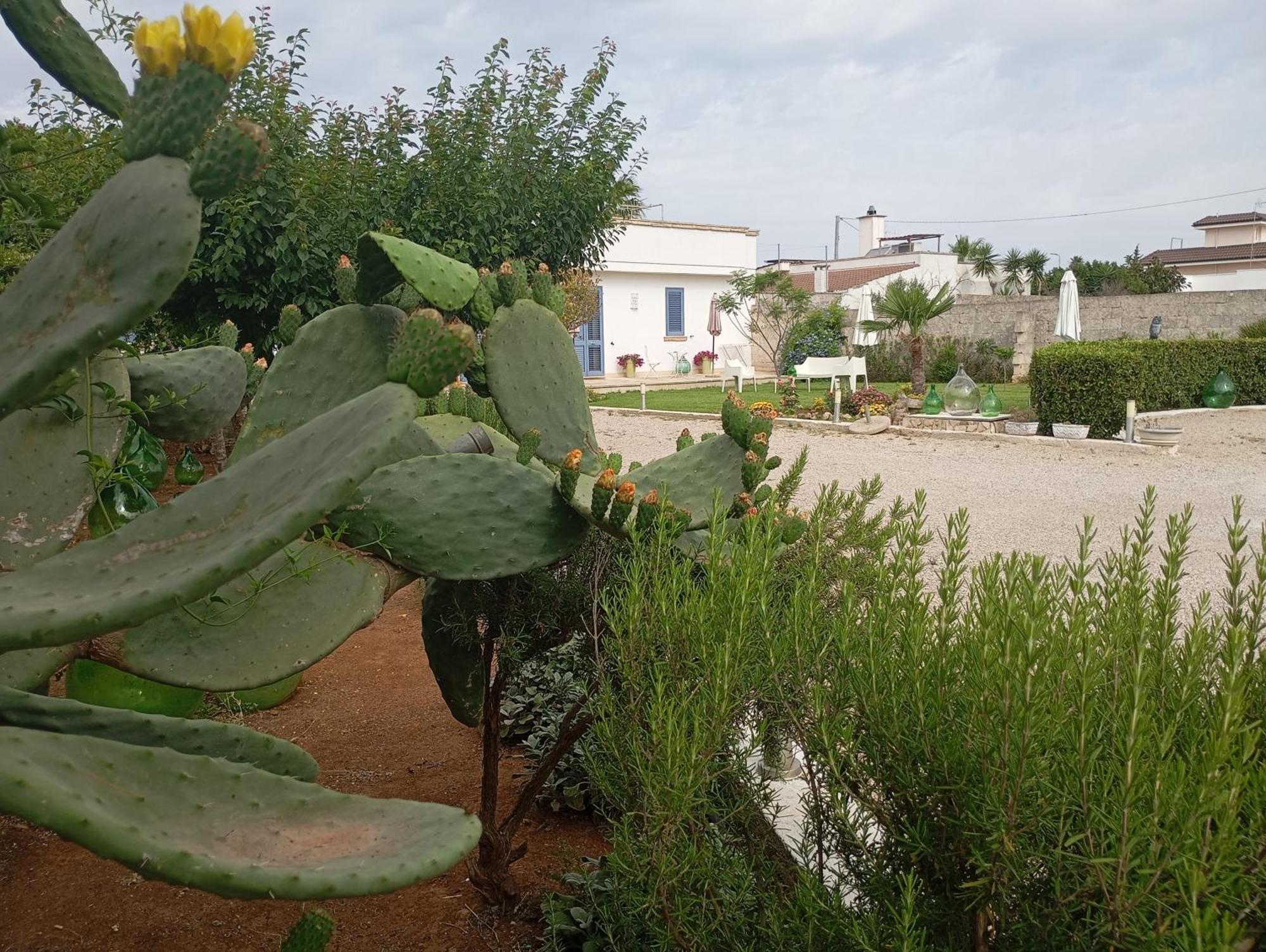 Li Curti B&B Melissano Exterior photo